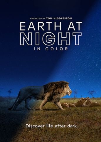 Земля ночью в цвете смотреть онлайн бесплатно в хорошем качестве HD 1080p